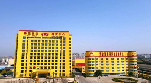 40年如一日,魯花以品質(zhì)書寫 國(guó)貨之光